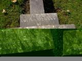 image of grave number 172056